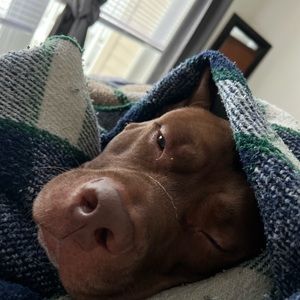 Meet your Posher, Hunter